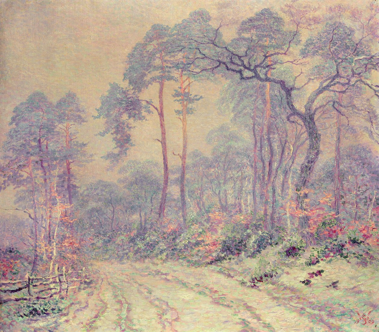 Il Sentiero nel Bosco da Willy Schlobach