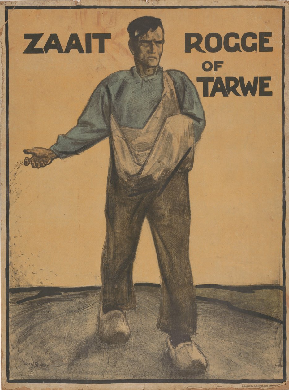 Semina di segale o grano da Willy Sluiter