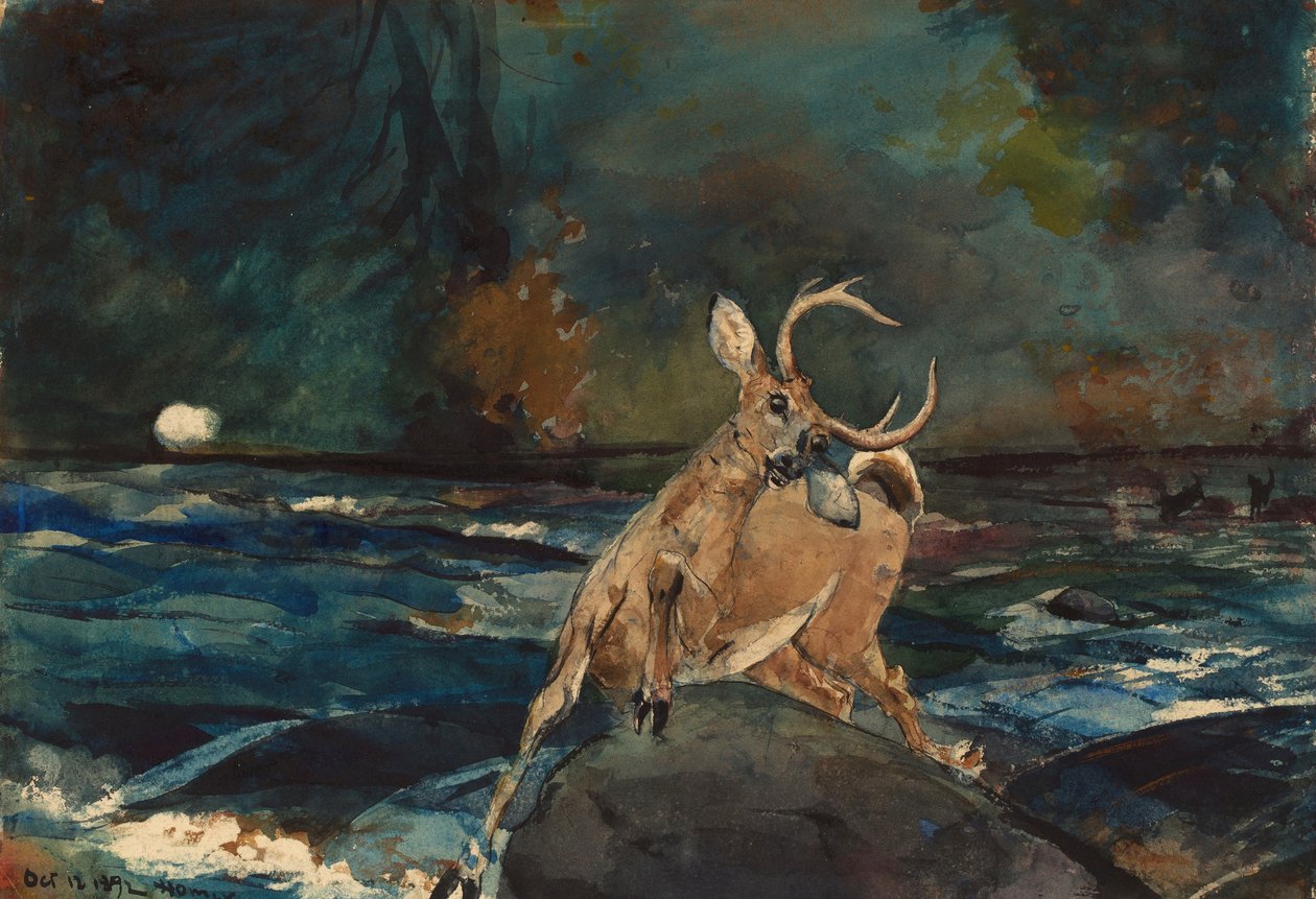 Un buon colpo, Adirondacks da Winslow Homer