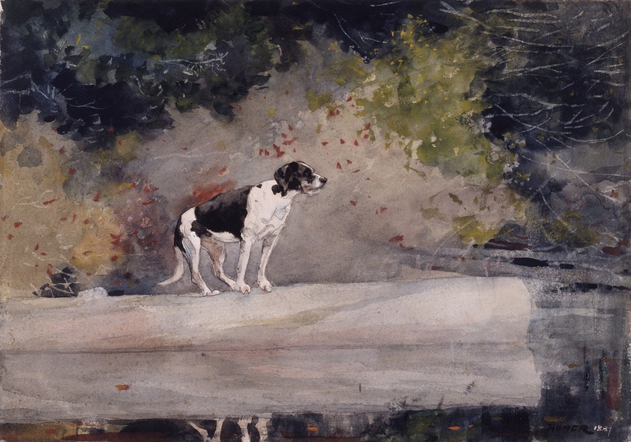 Cane su un tronco da Winslow Homer