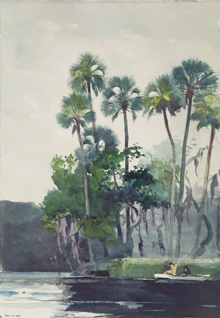 Fiume Homosassa, 1904 da Winslow Homer