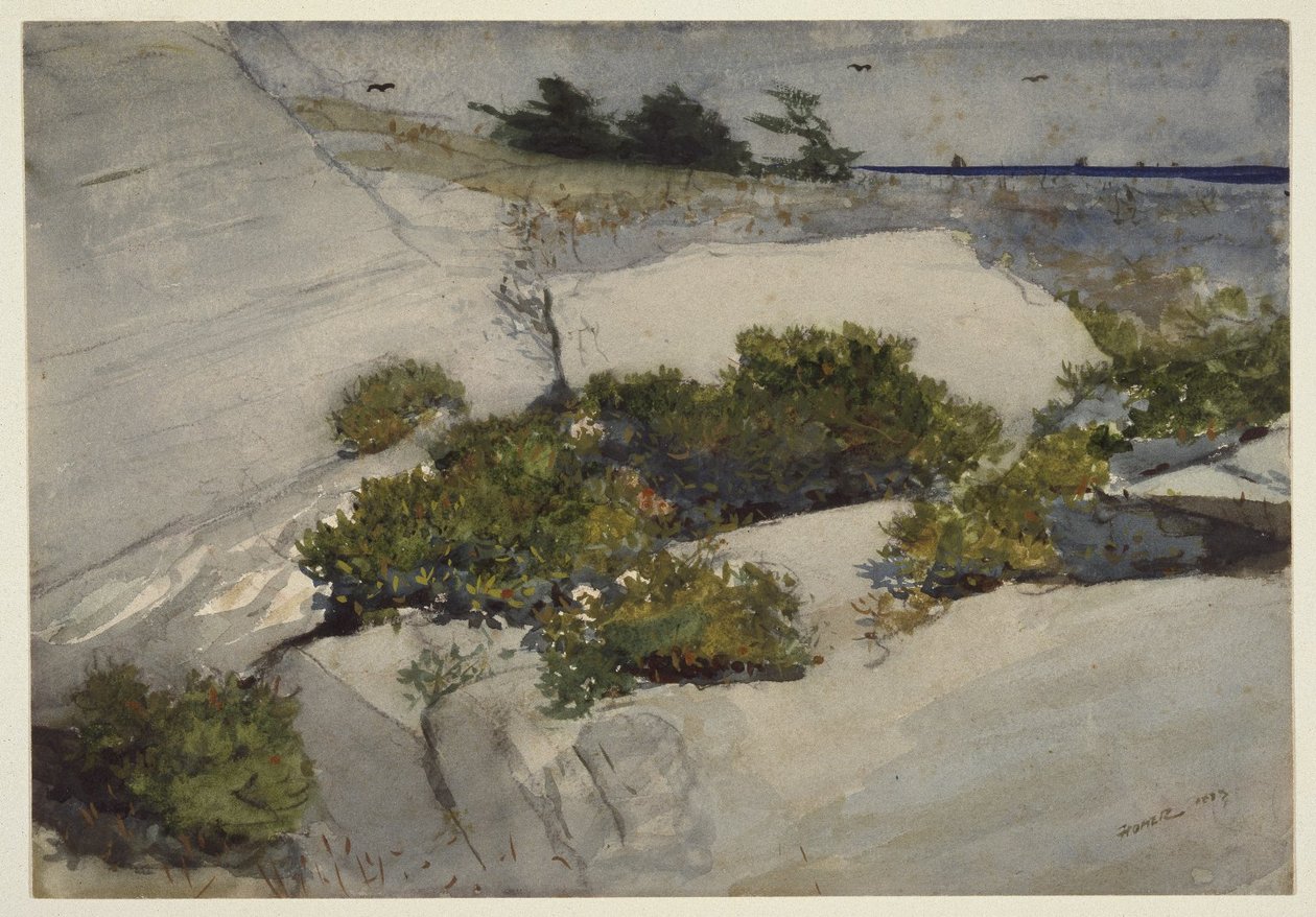 Scogliere del Maine da Winslow Homer
