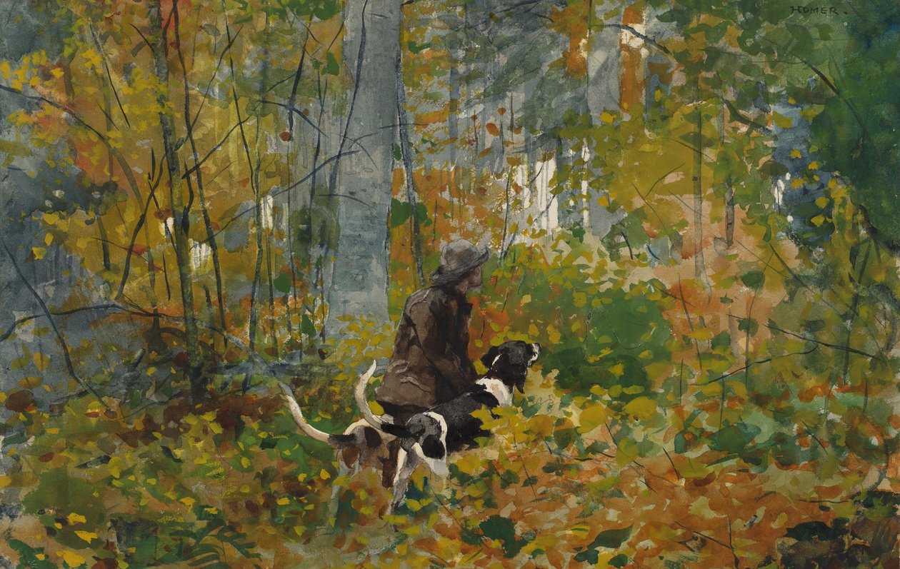 Sul sentiero da Winslow Homer