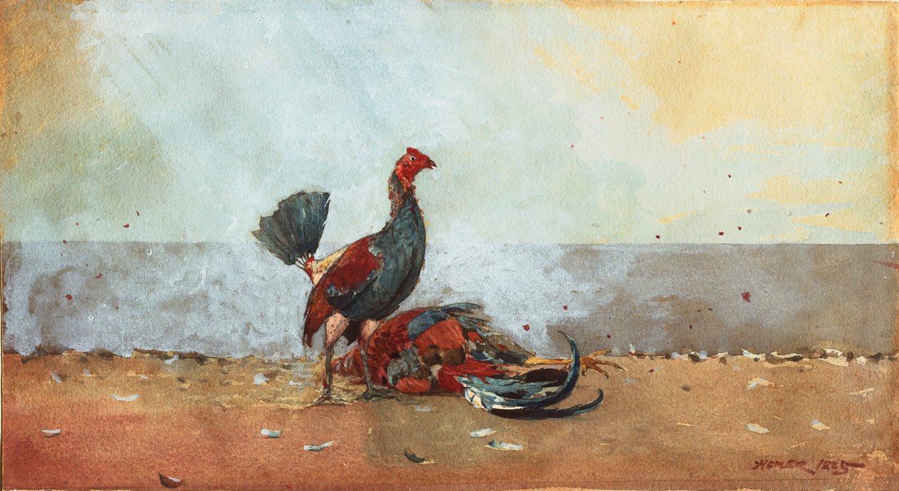 Il combattimento dei galli da Winslow Homer