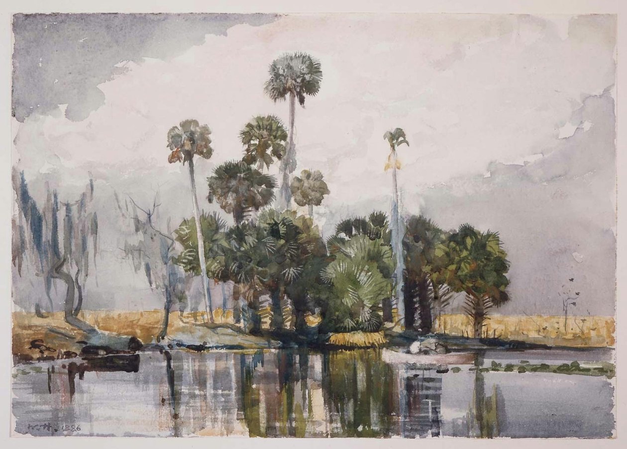 Thornhill Bar da Winslow Homer