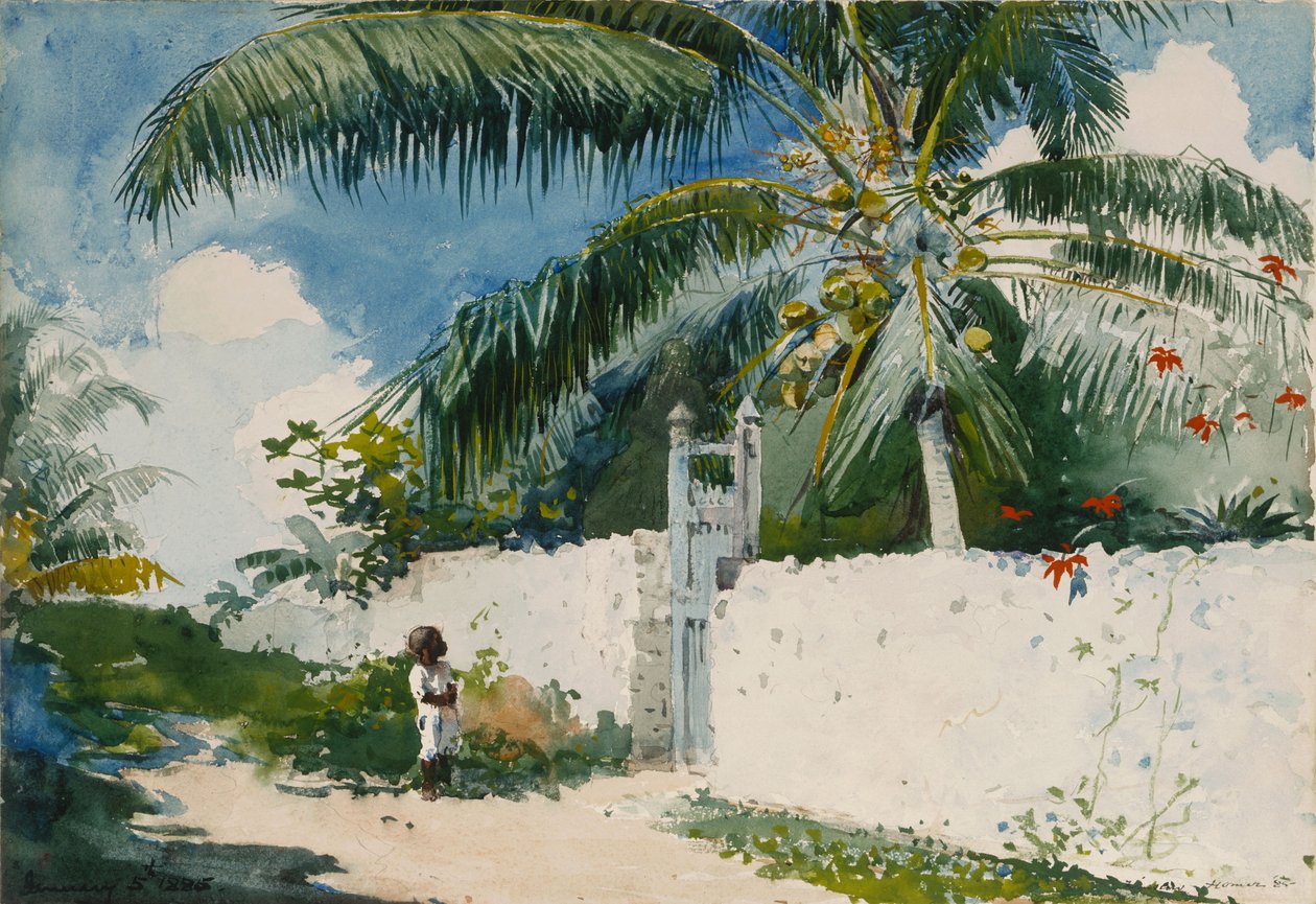 Un giardino a Nassau da Winslow Homer