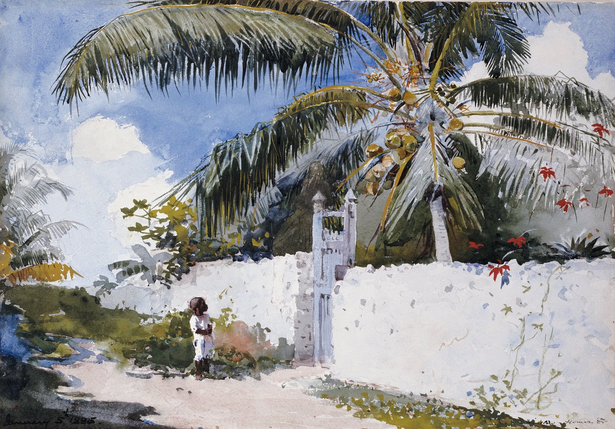 Un giardino a Nassau da Winslow Homer