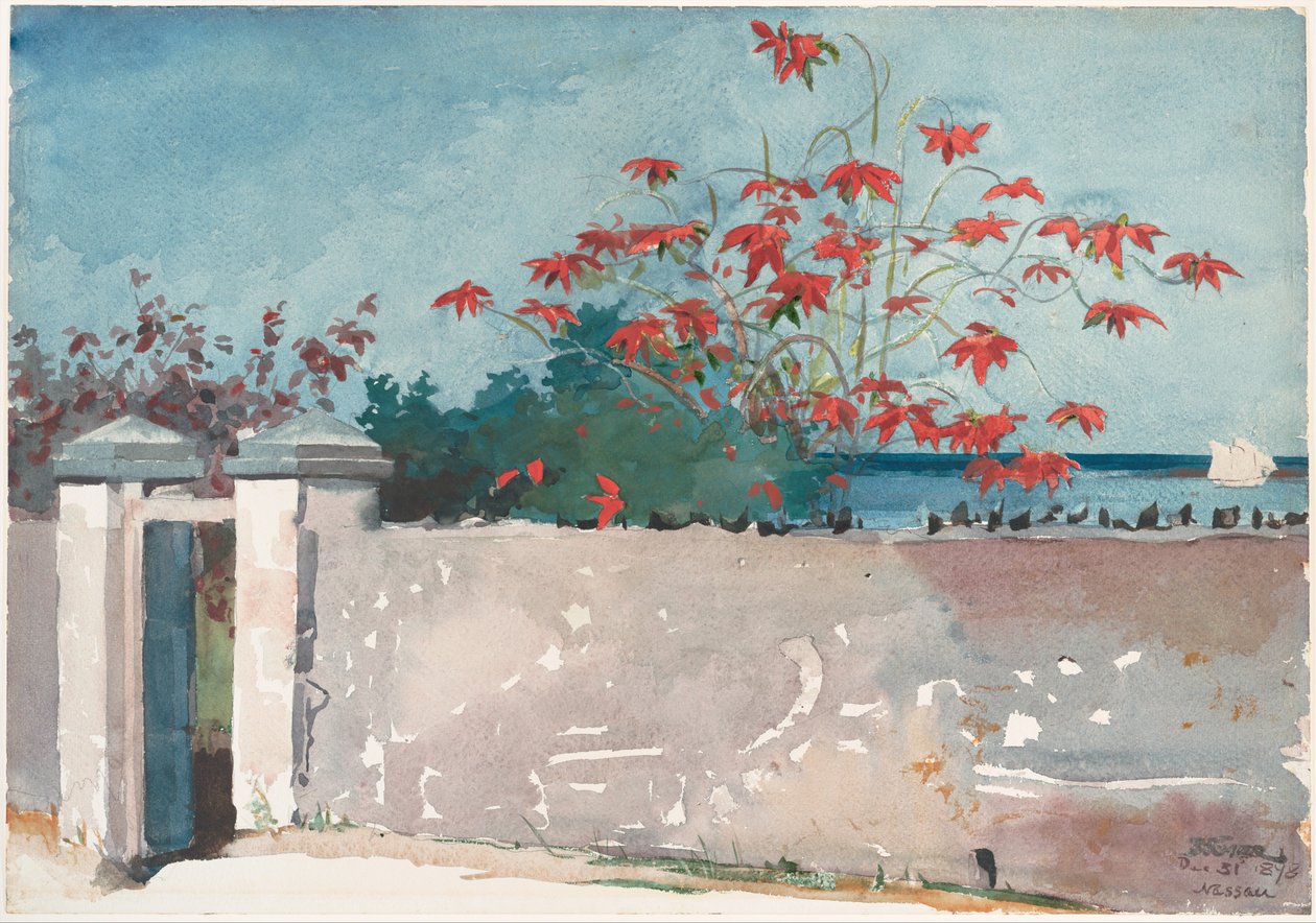 Un muro, Nassau da Winslow Homer