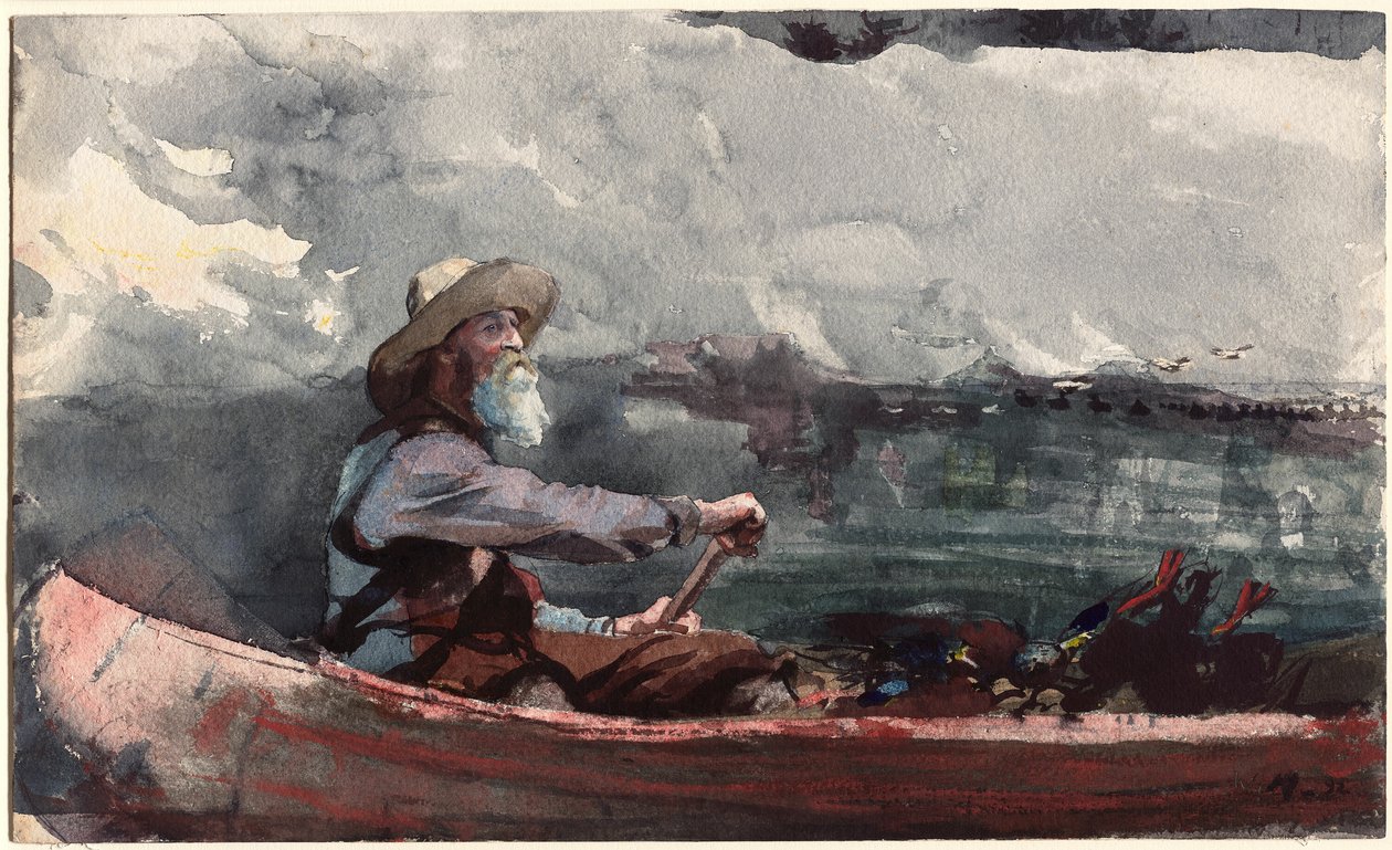 Guida degli Adirondack da Winslow Homer