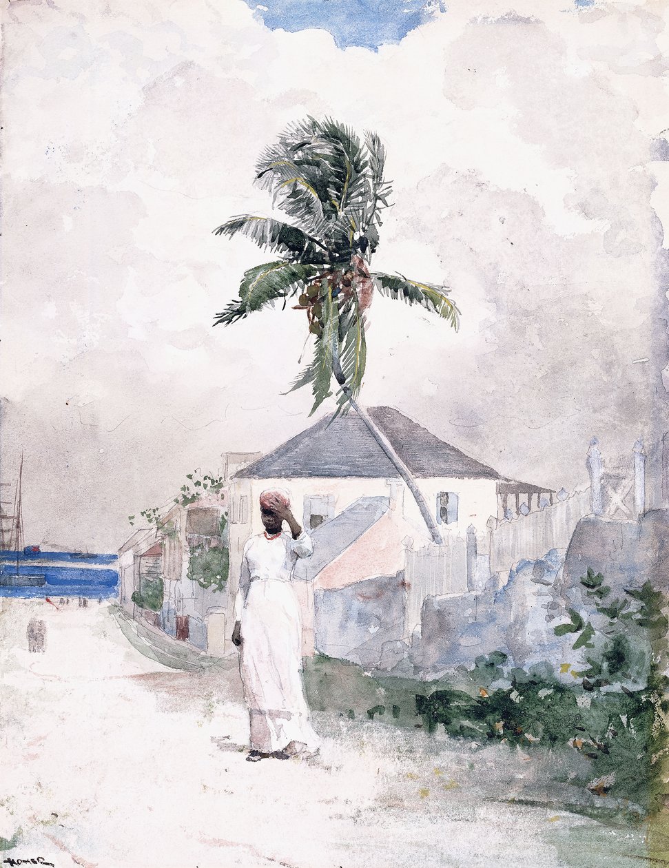 Lungo la Strada, le Bahamas da Winslow Homer