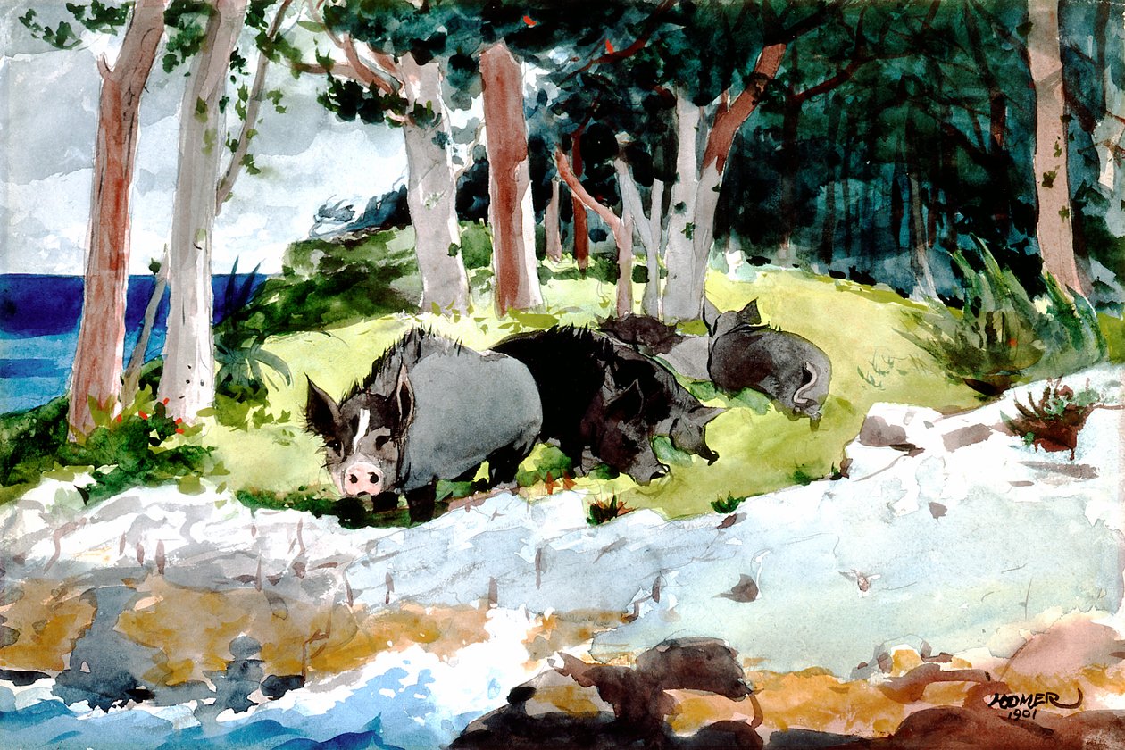 Coloni delle Bermuda da Winslow Homer