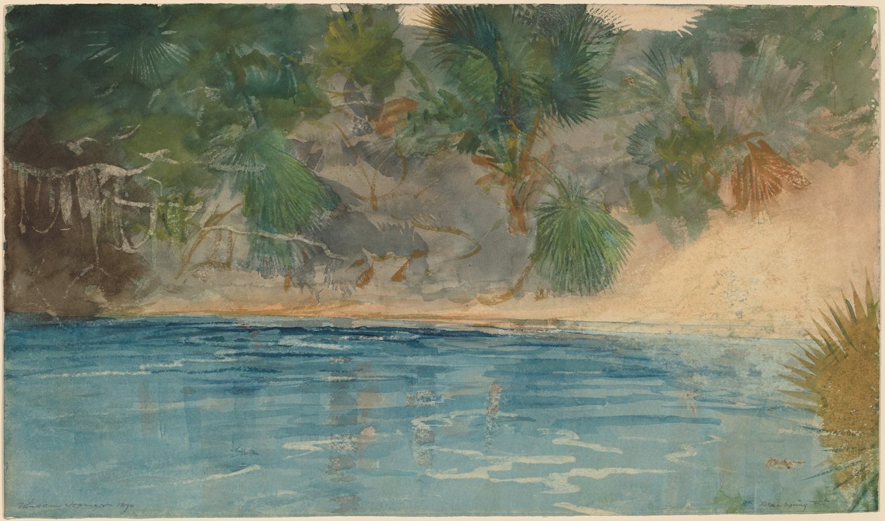 Blue Spring, Florida da Winslow Homer