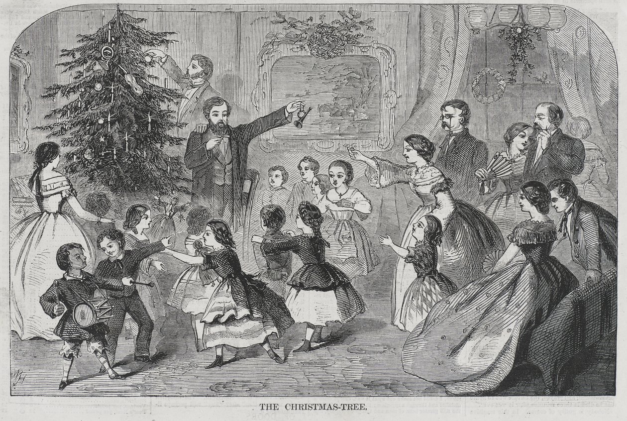Natale - Raccolta di sempreverdi L