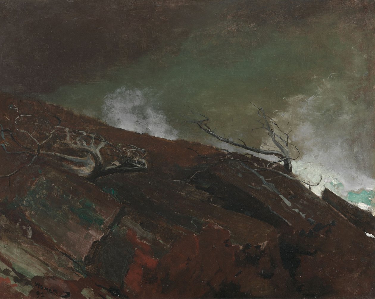 Costa del Maine da Winslow Homer