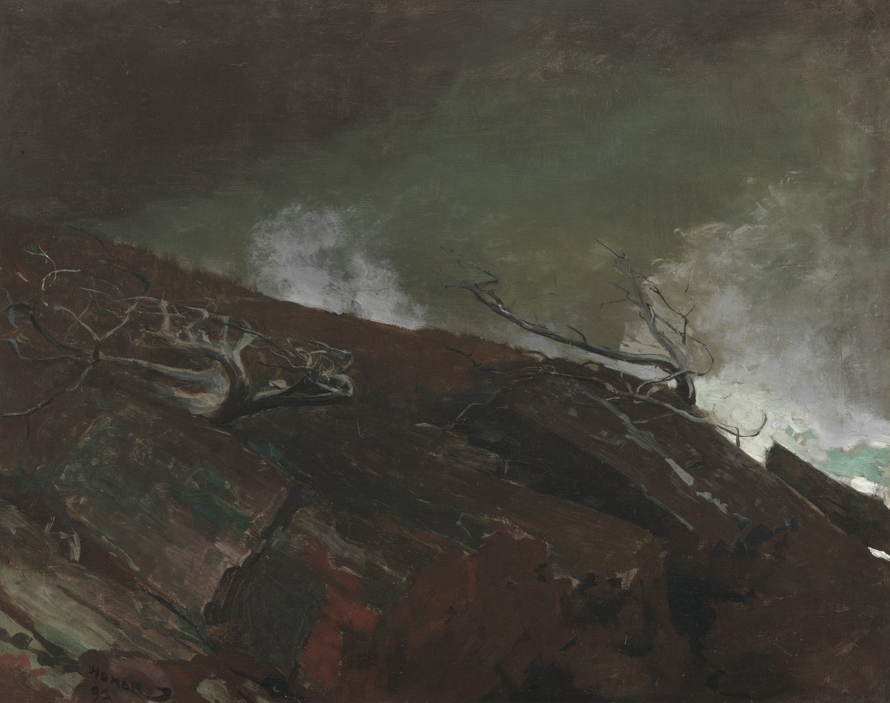 Costa del Maine, 1893 da Winslow Homer