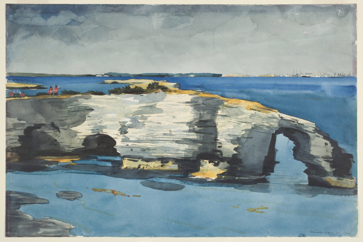Formazione corallina da Winslow Homer