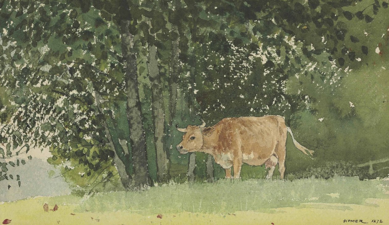 Mucca al pascolo da Winslow Homer
