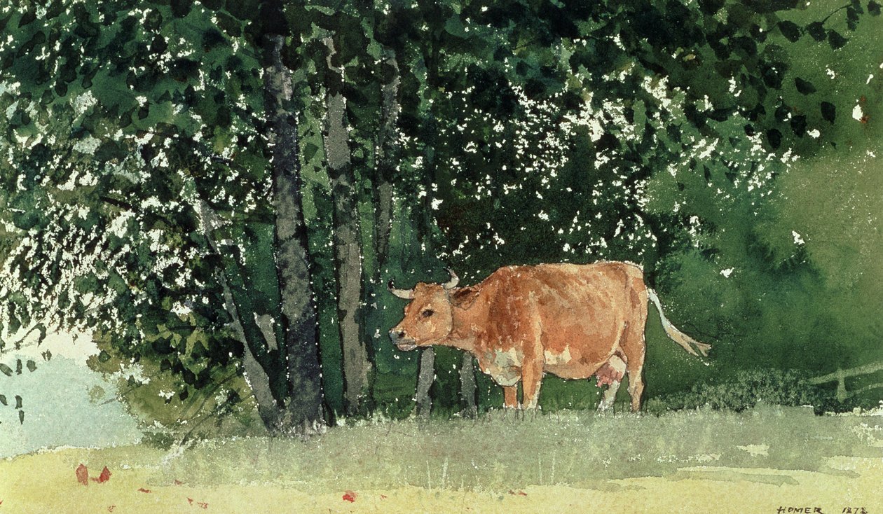 Mucca al Pascolo da Winslow Homer
