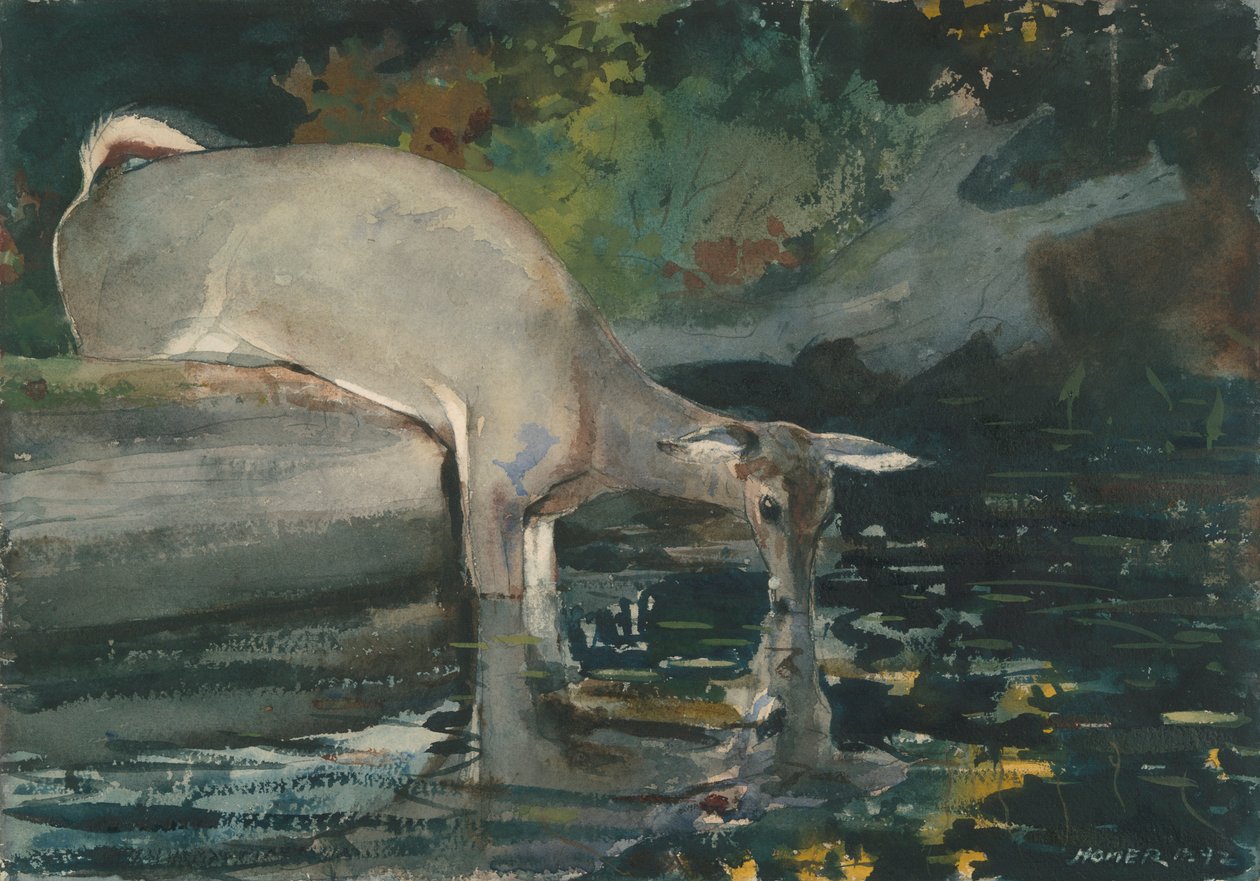 Cervo che Beve da Winslow Homer