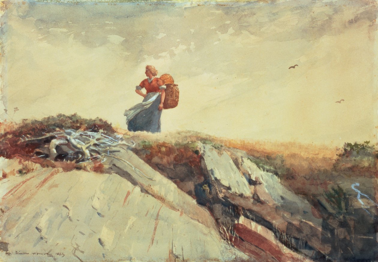 Giù dalla scogliera, 1883 da Winslow Homer