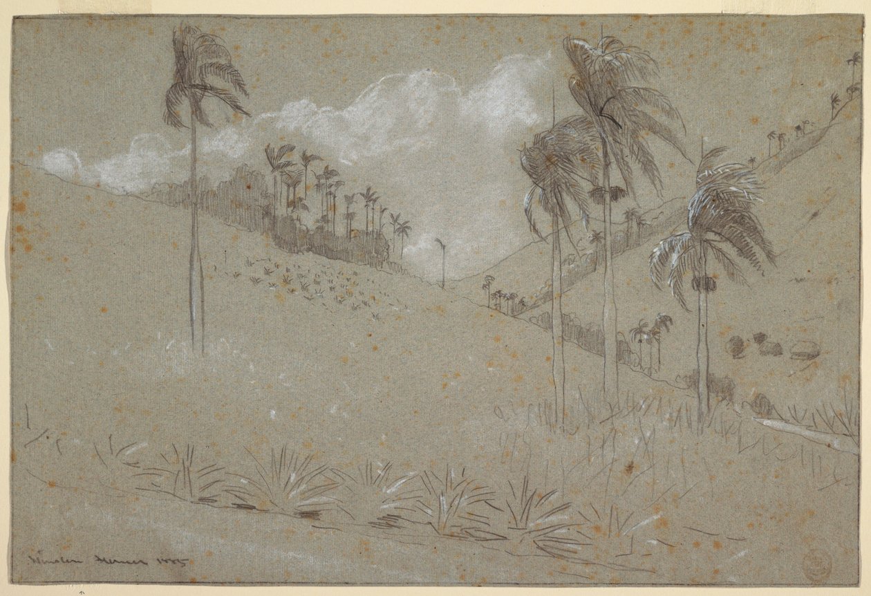 Disegno, collina cubana, 1885 da Winslow Homer