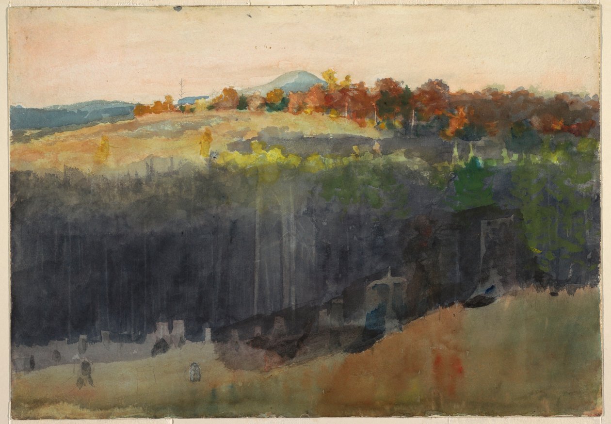 Disegno, valle e collina, Adirondack, 1889-94 da Winslow Homer