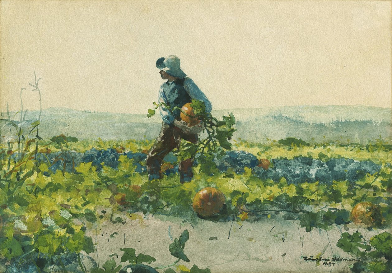 Essere un ragazzo di campagna da Winslow Homer