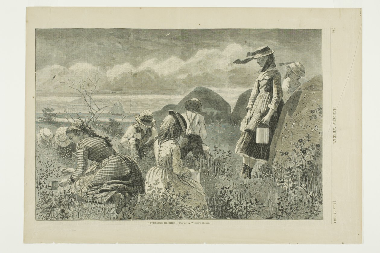 Raccolta di bacche da Winslow Homer