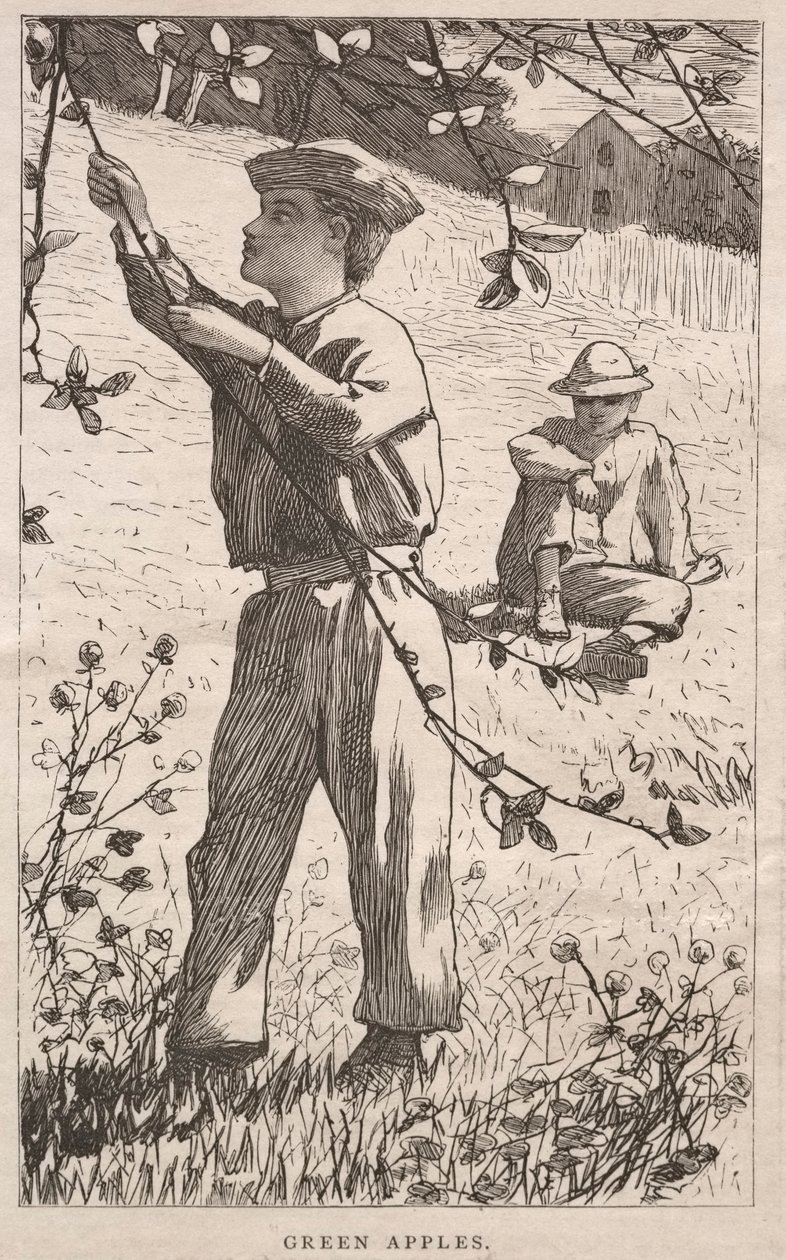 Mele verdi, 1868 da Winslow Homer