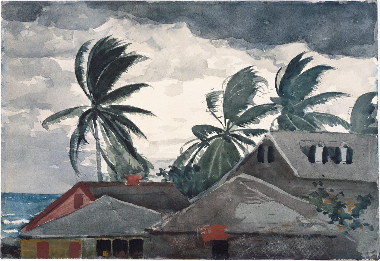 Uragano, Bahamas da Winslow Homer