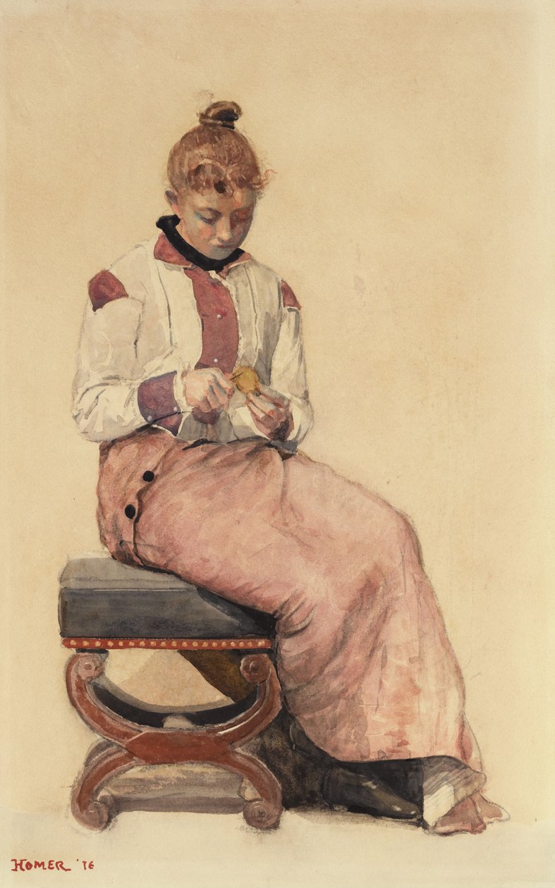 Limone, 1876 da Winslow Homer
