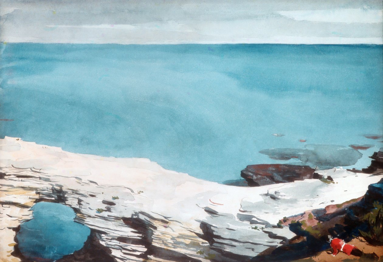 Ponte naturale, Bermuda da Winslow Homer