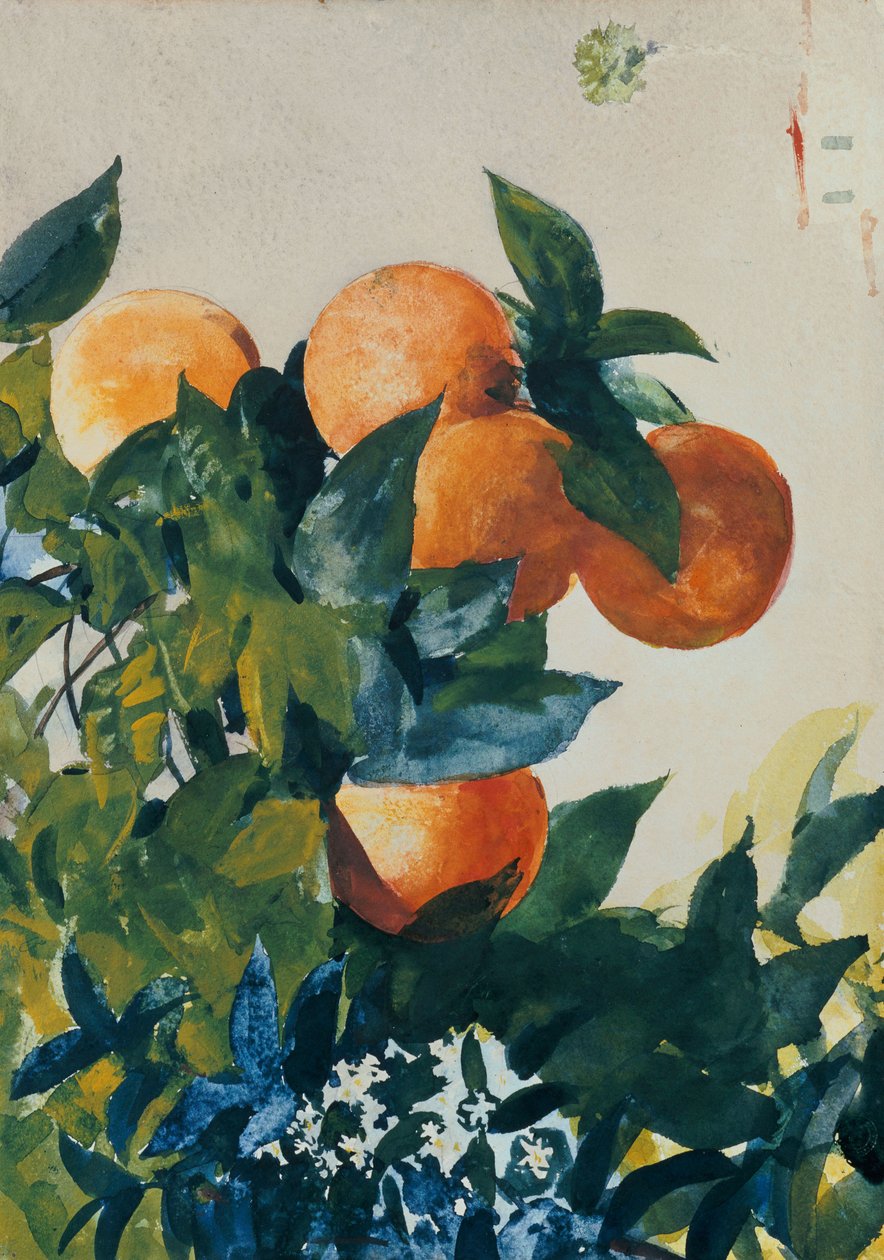 Arance su un Ramo da Winslow Homer