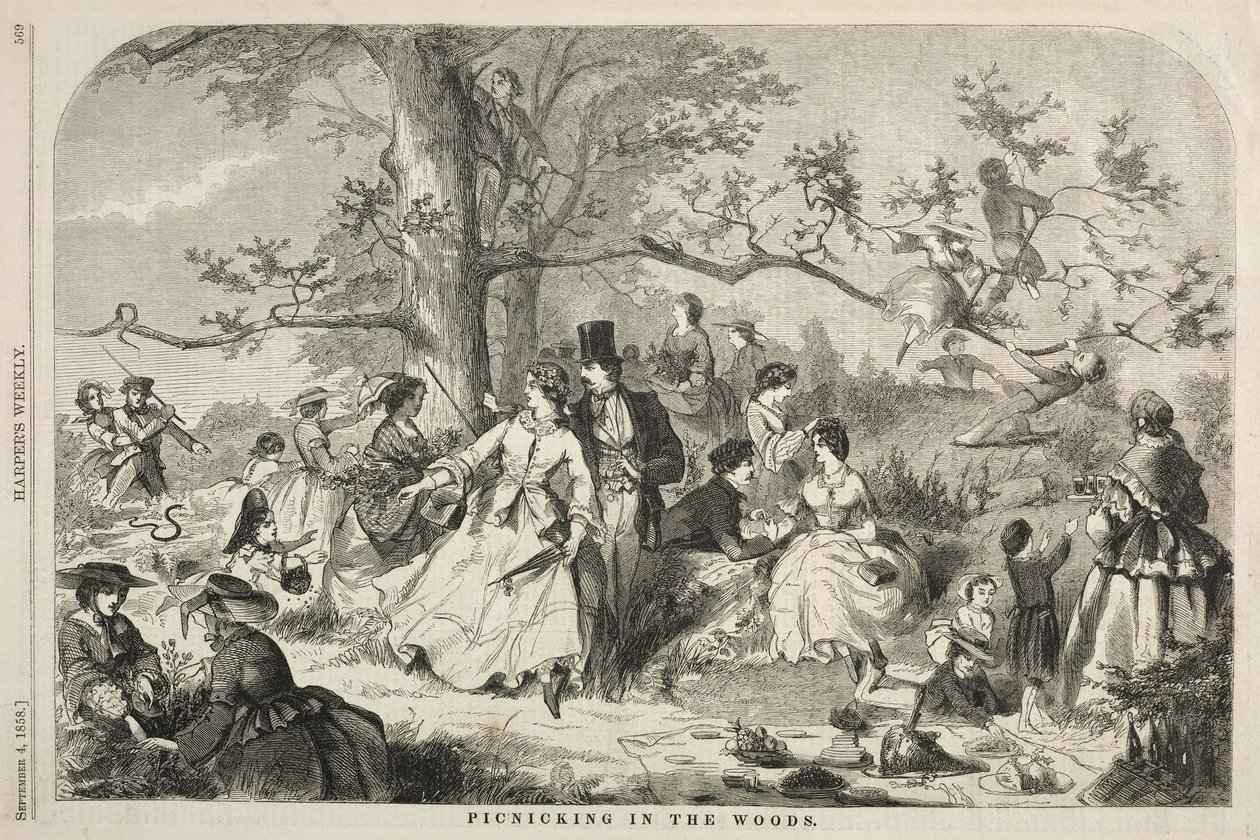 Picnic nel bosco, 1858 da Winslow Homer
