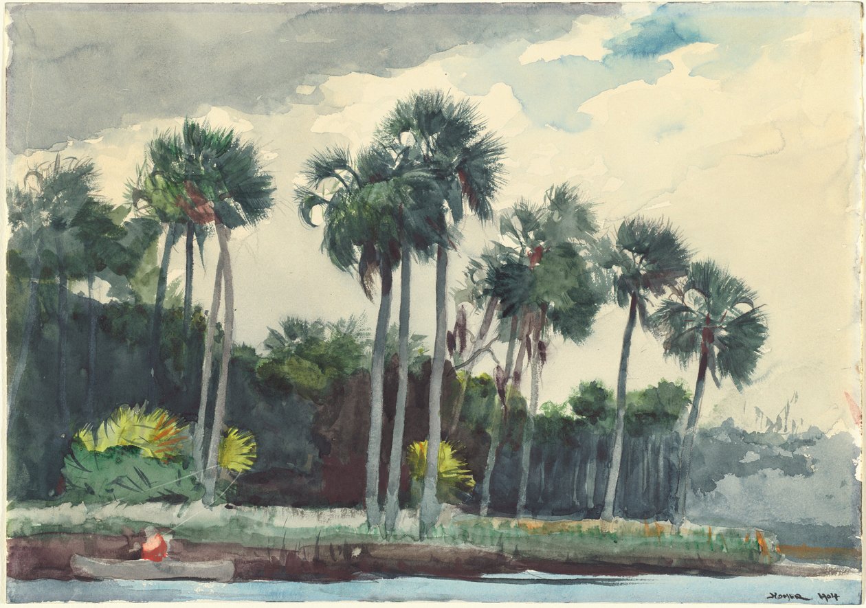 Camicia rossa, Homosassa, Florida da Winslow Homer