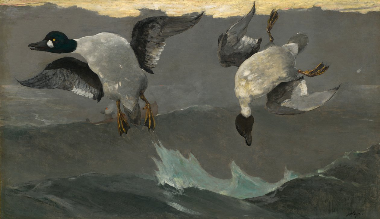 Destra e sinistra da Winslow Homer