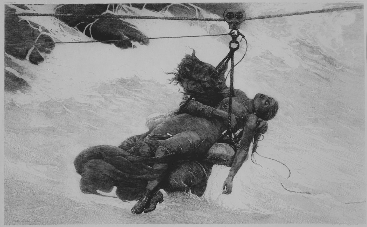 Salvato da Winslow Homer