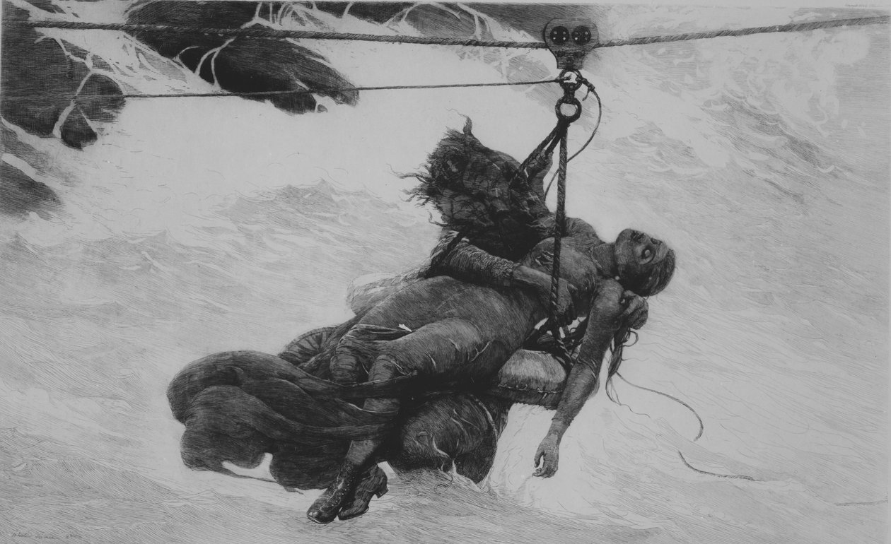 Salvato da Winslow Homer