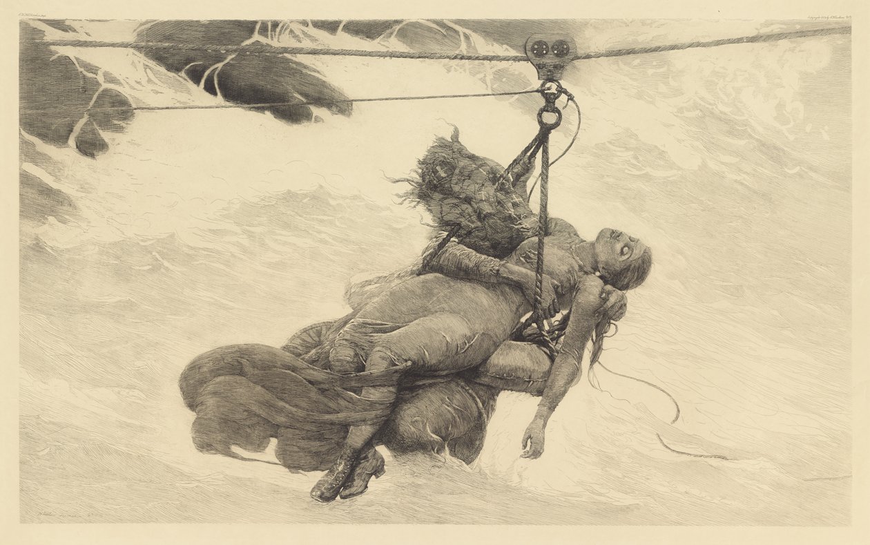 Salvato da Winslow Homer