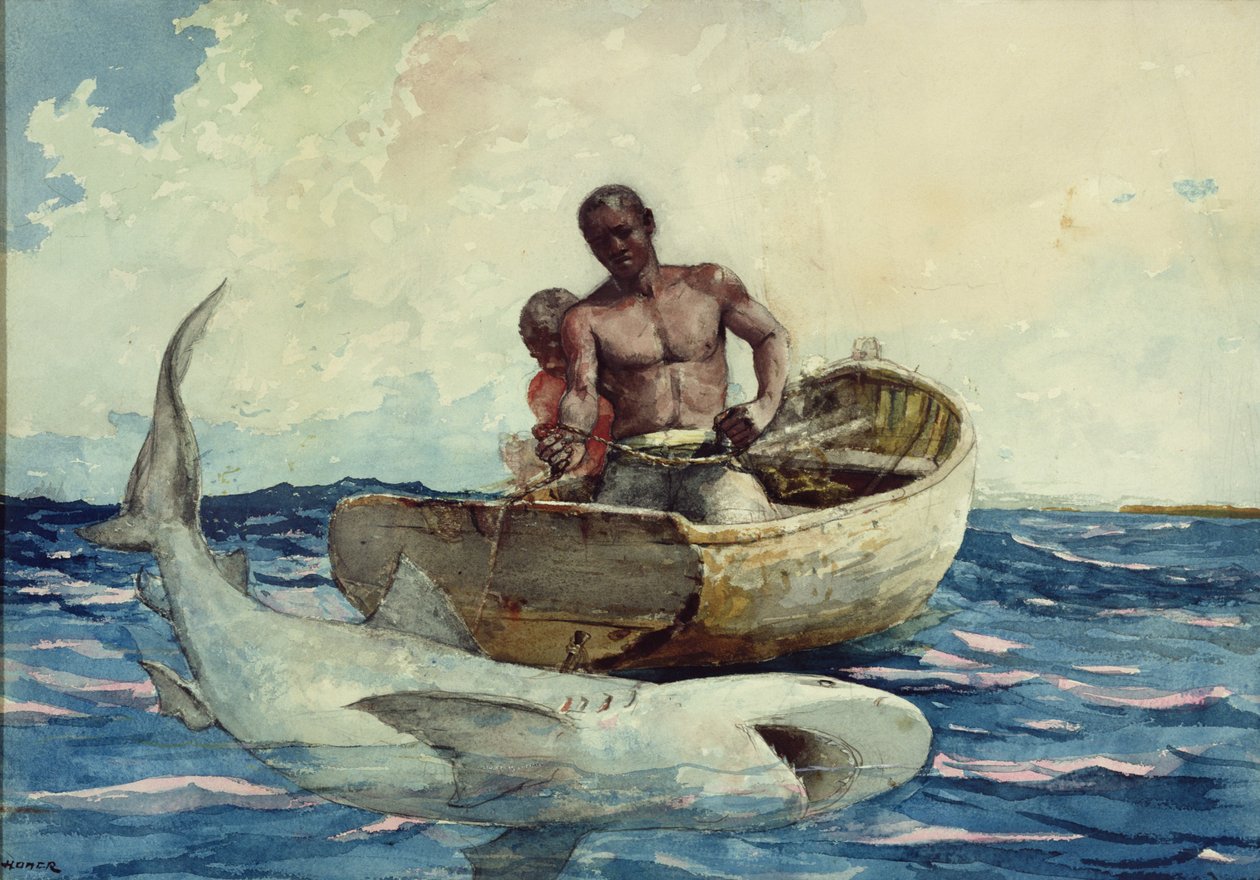Pesca allo squalo, 1885 da Winslow Homer