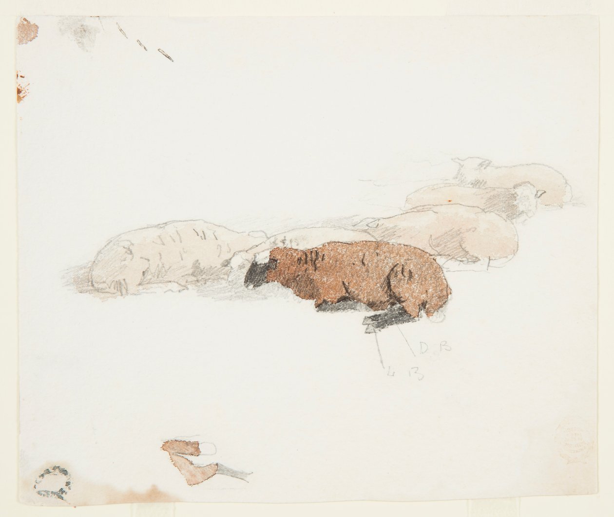 Pecore a Riposo da Winslow Homer