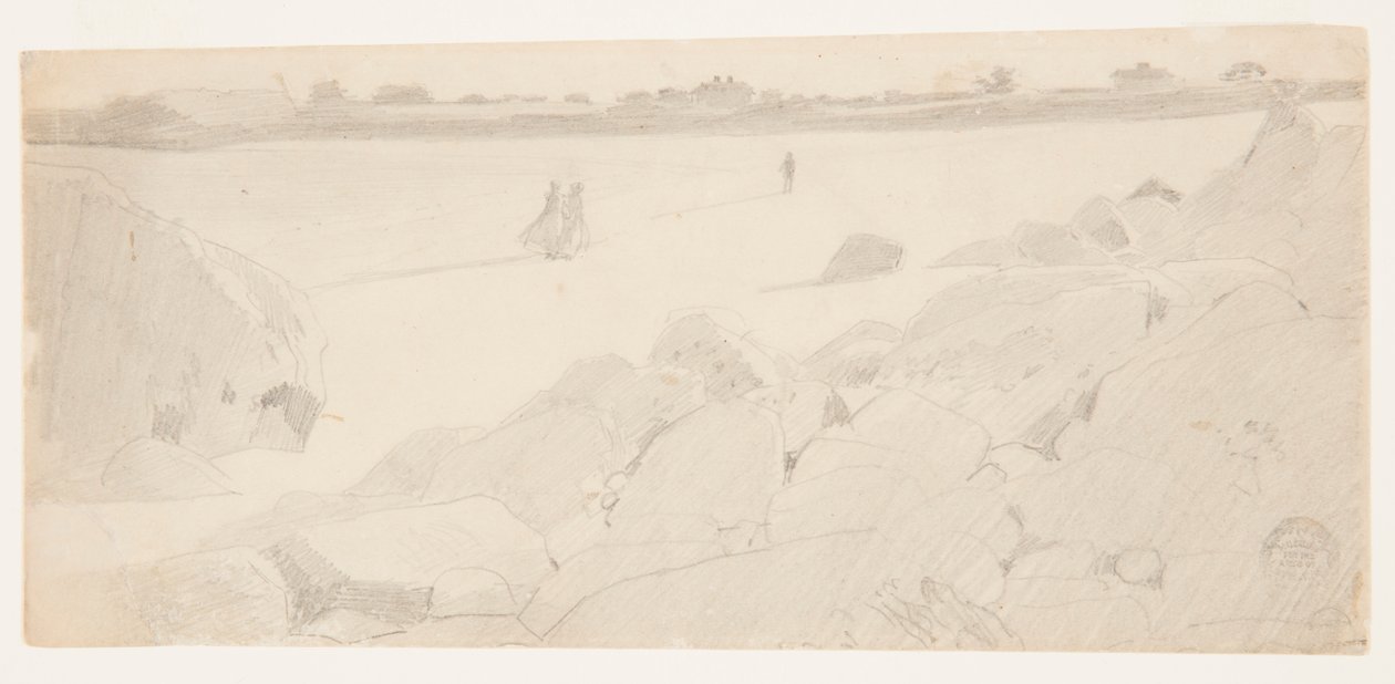 Studio per "Costa Rocciosa e Gabbiani" da Winslow Homer