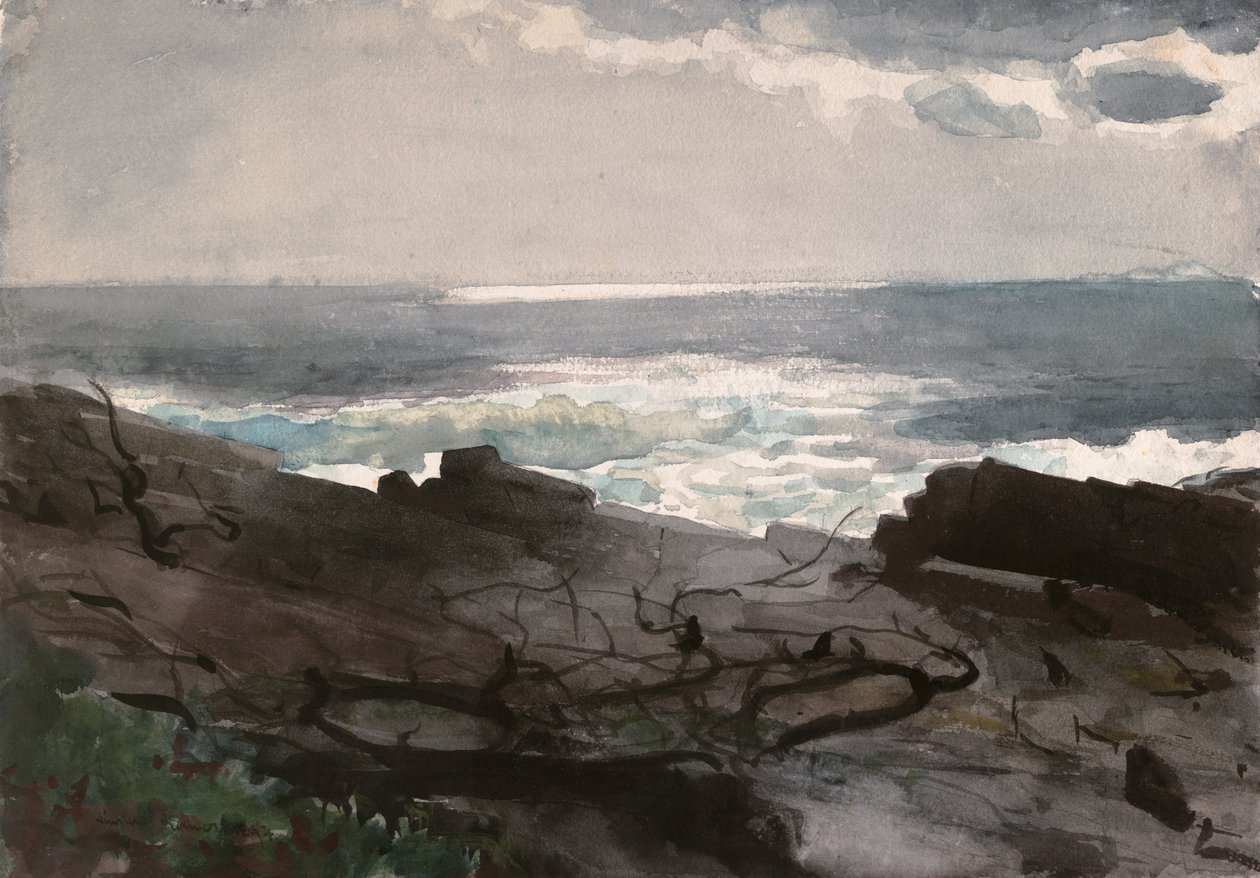 Sole e ombra, Collo di Prout da Winslow Homer