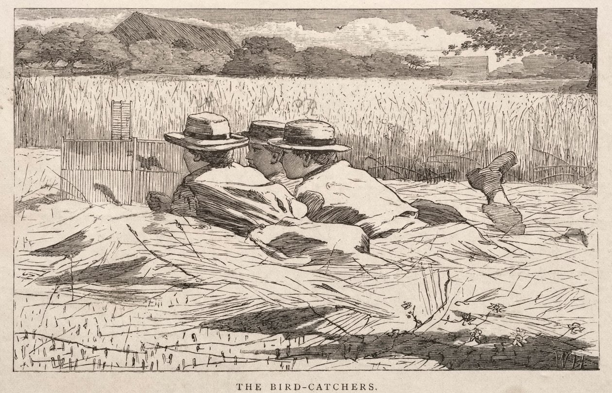 Gli acchiappa-uccelli da Winslow Homer