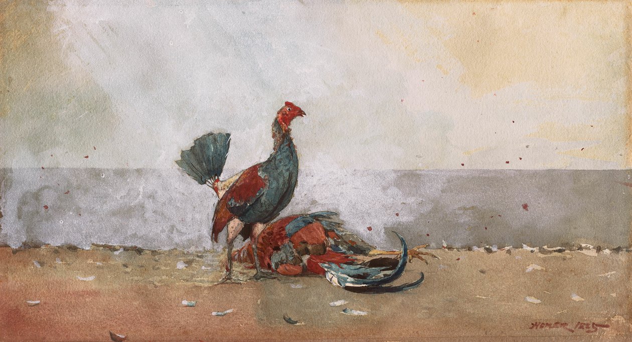 Il combattimento dei galli da Winslow Homer