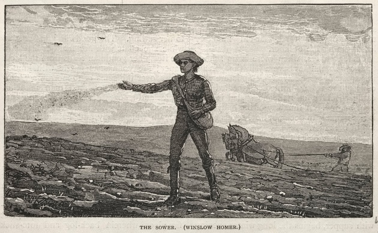 Il seminatore da Winslow Homer