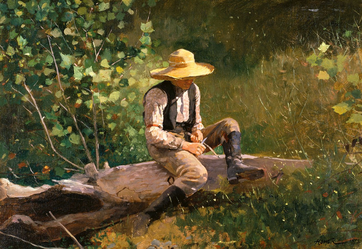 Il ragazzo che sbiancò da Winslow Homer