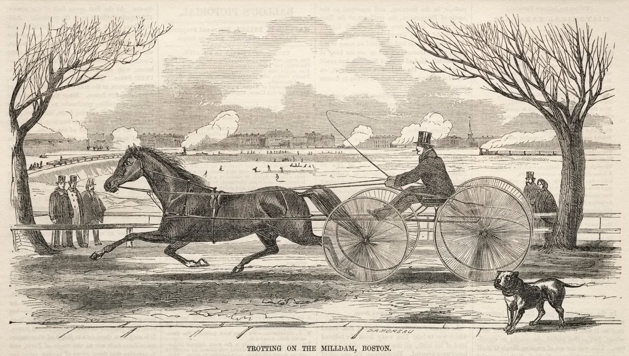 Trotto sulla diga del Mulino, Boston da Winslow Homer