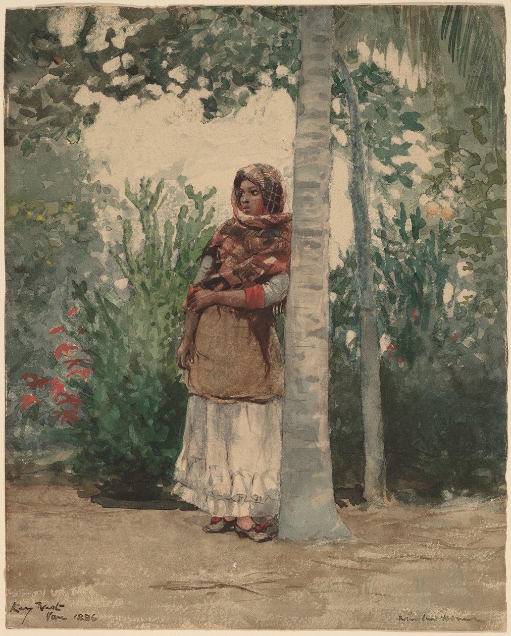Sotto una Palma da Winslow Homer