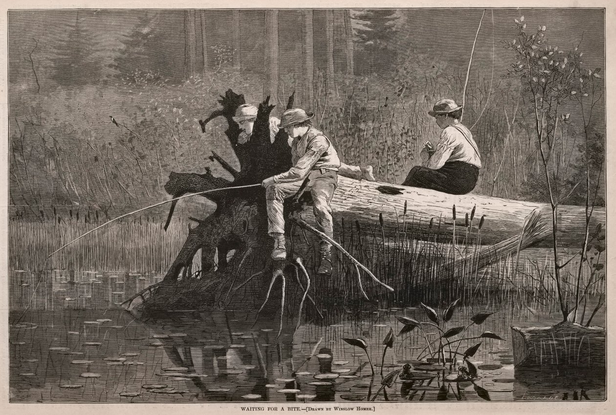 In attesa di un boccone da Winslow Homer